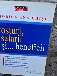 Posturi, salarii si beneficii - Viorica Ana Chisu