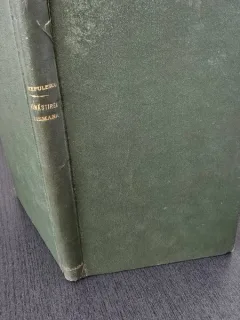 Manastirea Tismana - Alexandru Stefulescu