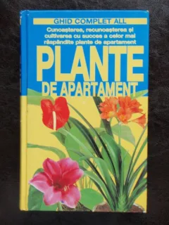 PLANTE DE APARTAMENT - GHID COMPLET