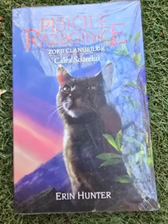 Pisicile razboinice. Zorii clanurilor. Calea Soarelui - Erin Hunter