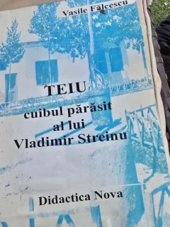 Teiu, cuibul parasit al lui Vladimir Streinu - Vasile Falcescu