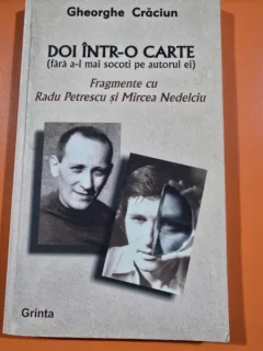 Doi intr-o carte. Fragmente cu Radu Petrescu si Mircea Nedelciu - Gheorghe Craciun
