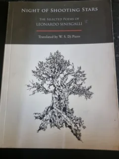 Night of shooting stars - Leonardo Sinisgalli