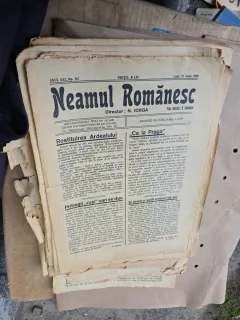 Neamul Românesc - ne 107, 21 unie 1926