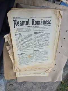 Neamul Românesc - nr 105, 7 iunie 1926