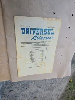 Universul Literar - nr 20, 27 iunie 1920