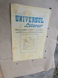 Universul Literar -  nr 17, 6 iunie 1920