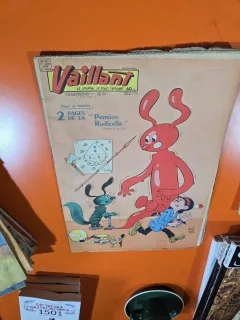 Vaillant nr.681 an 14