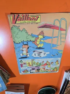 Vaillant - an 15