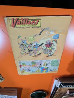 Vaillant - an 15