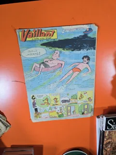 Vaillant - an 15