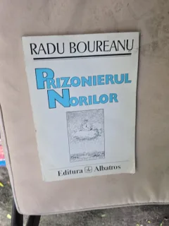 Prizonierul Norilor - Radu Boureanu