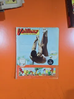 Vaillant  nr.940/an 19