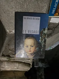Le Visage. Les details du corps - collectif