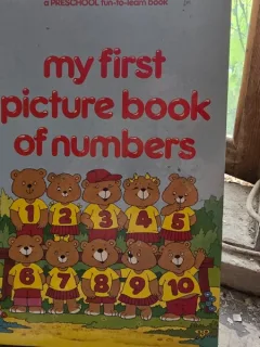 My first picture book of numbers - Brian Miles