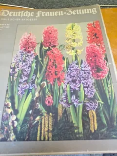 Revista Deutsche Frauen Zeitung Heft 17/mai 1936-1937