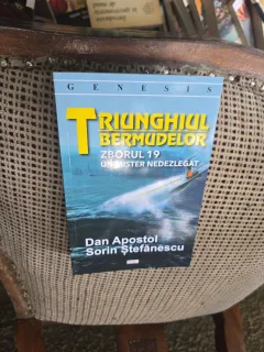 Triunghiul Bermudelor. Zborul 19. Un mister nedezlegat - Dan Apostol, Sorin Ştefănescu
