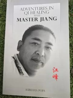 Adventures in QI healing with Master Jiang - Aurelian Popa