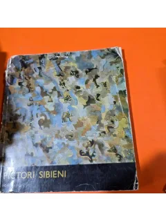 Pictori Sibieni - Ion Itu