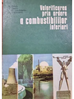 Valorificarea prin ardere a combustibililor inferiori - N. Panoiu, C. Cazacu, I. Gh. Carabogdan, C. Craciuneanu