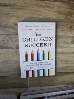 How children succeed - Paul Tough