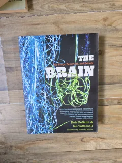 The Brain - Rob DeSalle & Ian Tattersall