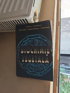 Biochimie Vegetală - Gavril Neamțu, Gheorghe Câmpianu, Carmen Socaciu
