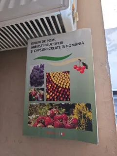 Soiri de pomi, arbuști fructiferi și căpșuni create în România - NN