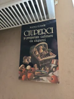 Ciuperci și preparate culinare cu ciuperci - Ioana Tudor