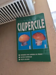 Ciupercile - N/A