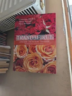 Trandafirul - Constantin Miliță, Adrian Bavaru, Elena Bavaru