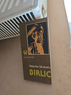 Birlic - Valentin Silvestru