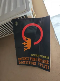 Domnii tăgătoare, domnitori uitați - Pompiliu Țudoran