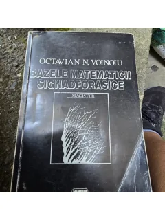 Bazele matematicii signadforasice - Octavian N. Voinoiu