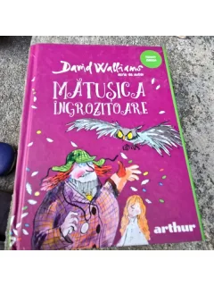 Matusica ingrozitoare - David Walliams