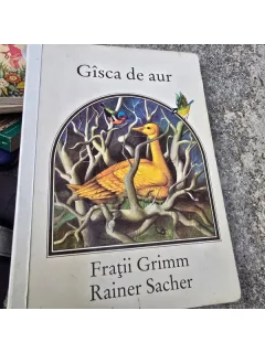 Gasca de aur - Fratii Grimm, Rainer Sacher