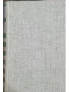 DICTIONAR ROMAN -ITALIAN - NINA FACON
