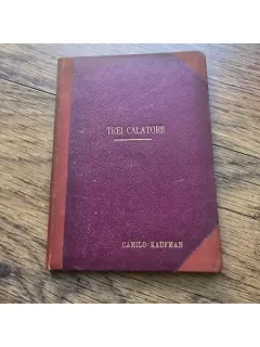 Trei calatorii - Camilo Kaufman