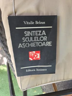 Sinteza sculelor aschietoare - Vitalie Belous