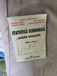 Statistică Economică: Lucrări Aplicative - Vergil Voineagu, Eugenia Lilea, Zizi Goschin, Mihaela Vătu i Irina Isăic-Maniu
