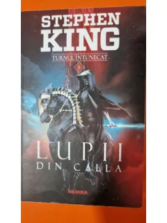 Turnul intunecat. Lupii din Calla - Stephen King