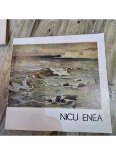 Nicu Enea, catalog expozitie retrospectiva, text Mircea Deac