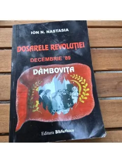 Dosarele revolutiei. Decembrie 89, Dambovita - Ion N. Nastasia