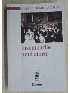 Insemnarile unui aiurit - Gabriel Dumitru Culcer
