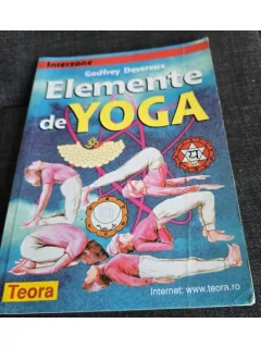Godfrey Devereux - Elemente de Yoga