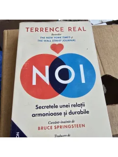 Noi. Secretele unei relatii armonioase si durabile - Terrence Real