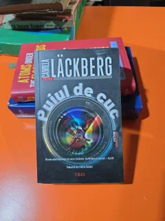 Puiul de cuc - Camilla Lackberg 2024
