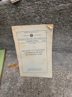 PREPARAREA ÎN GOSPODĂRIE A DIFERITELOR PRODUSE DIN PĂTLĂGELE ROȘII
