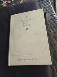 Enciclopedia picturii italiene