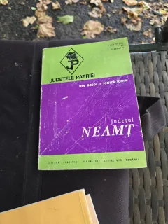 Județul Neamț